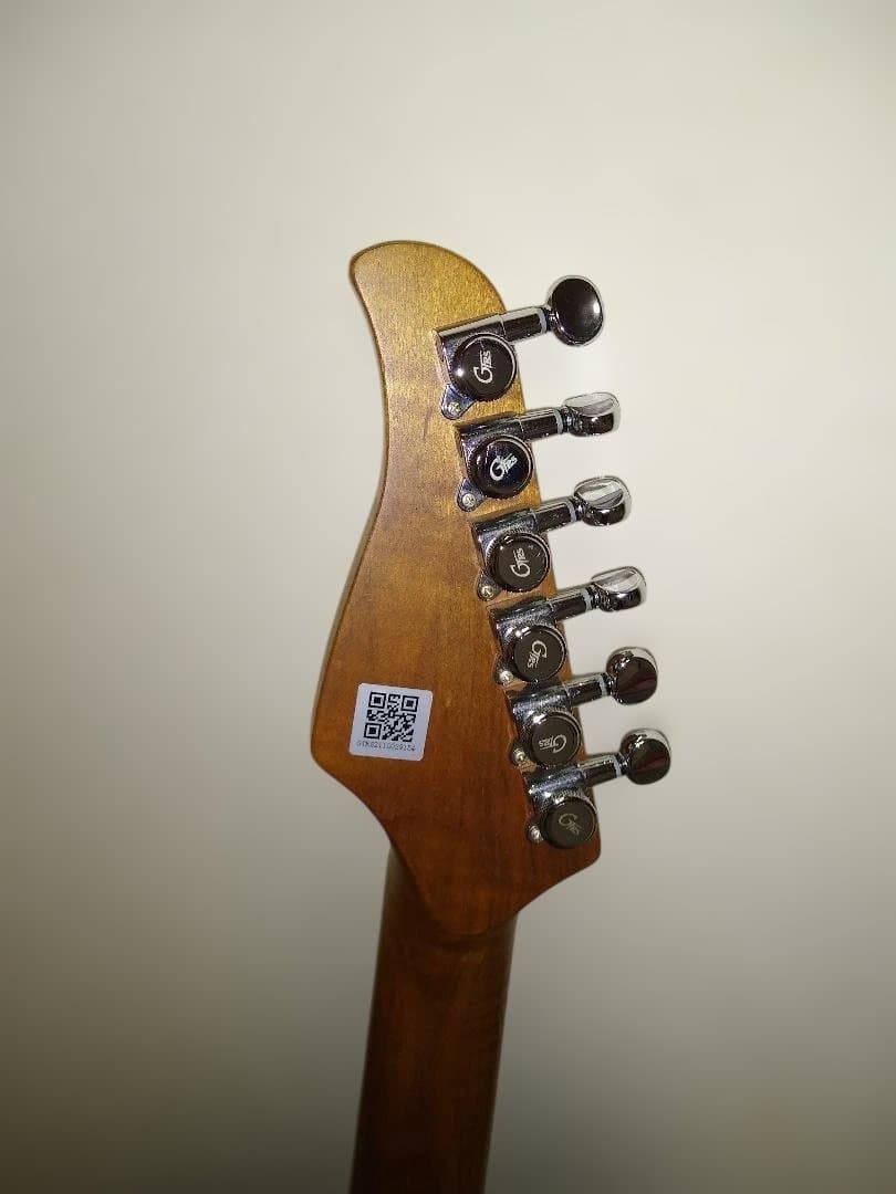 お得です！！Mooer GTRS P801 Dark Night