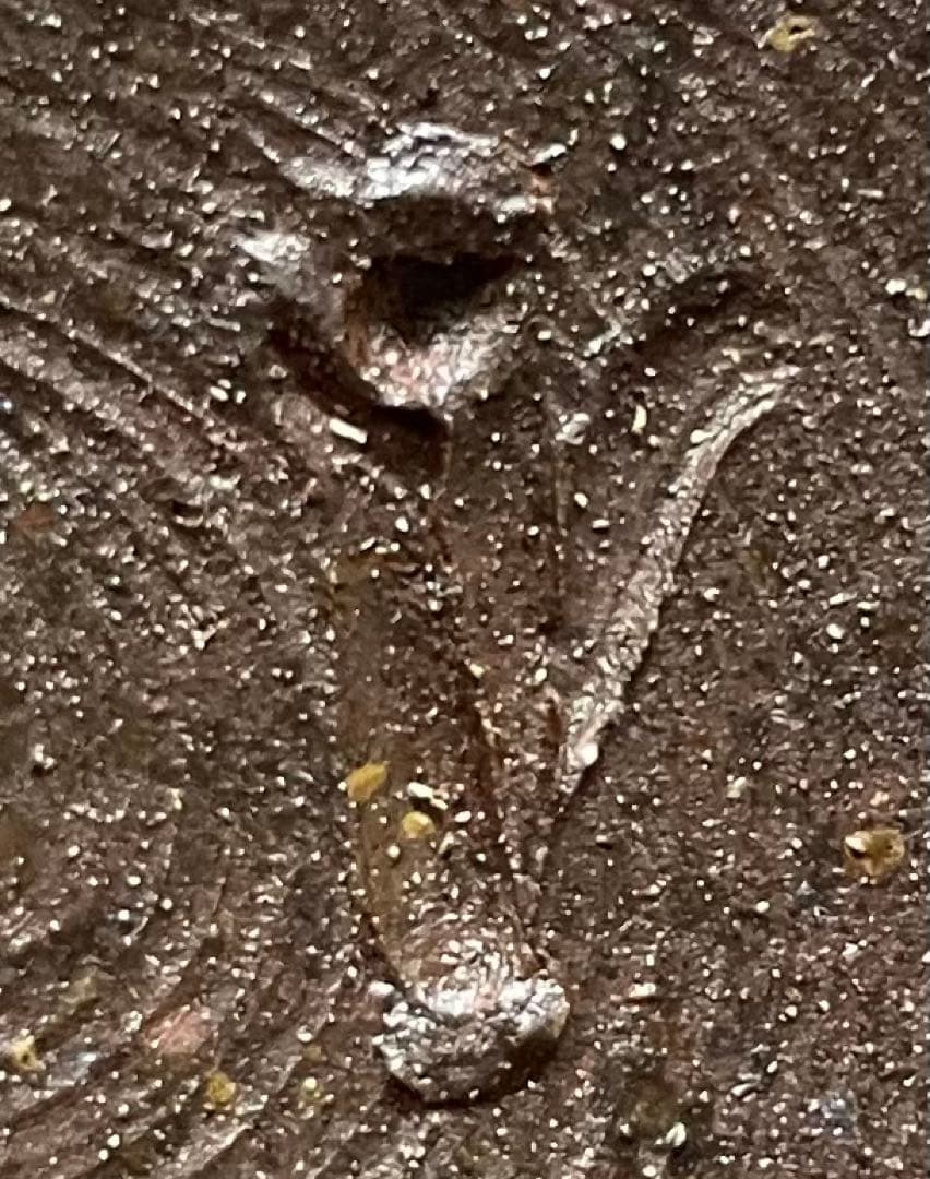 人間国宝　藤原雄　備前徳利　備前焼　共箱　共布　栞　S119