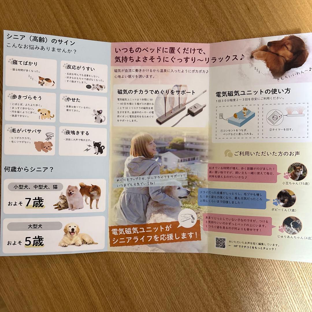 アンベルソ電気磁気ユニット