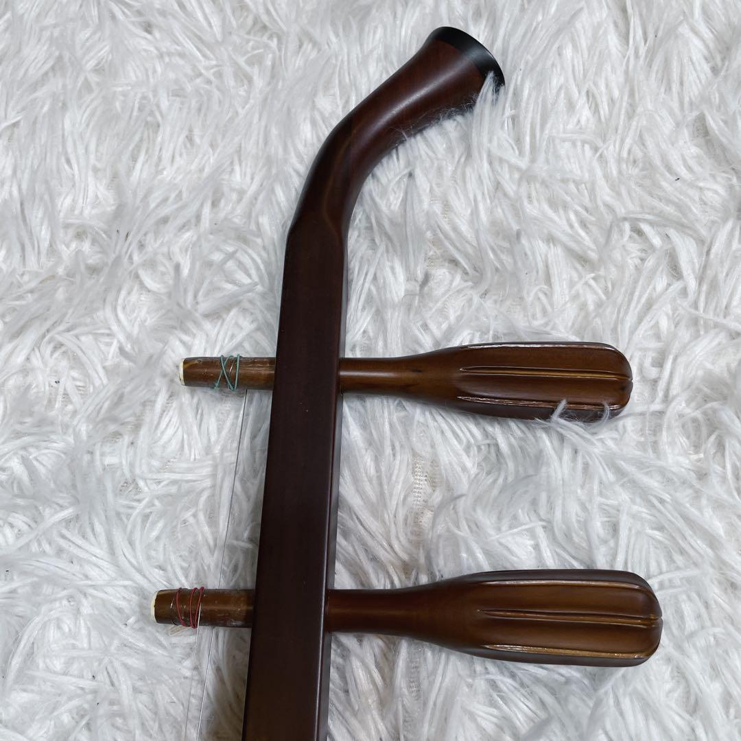 極美品　電気　ニ胡　エレキ　セミハードケース付き