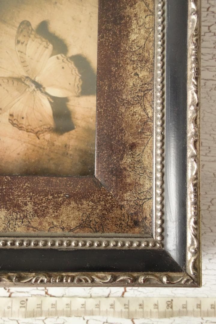 アンティーク風 蝶のフレーム