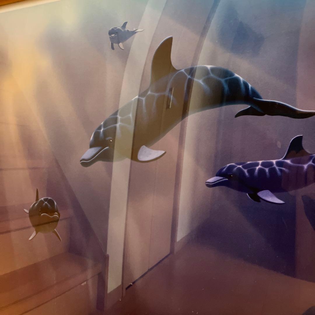 イルカポスター　額入り