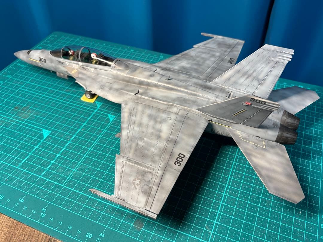 戦闘機　プラモデル　完成品　ハセガワ　1/48 F/A-18F