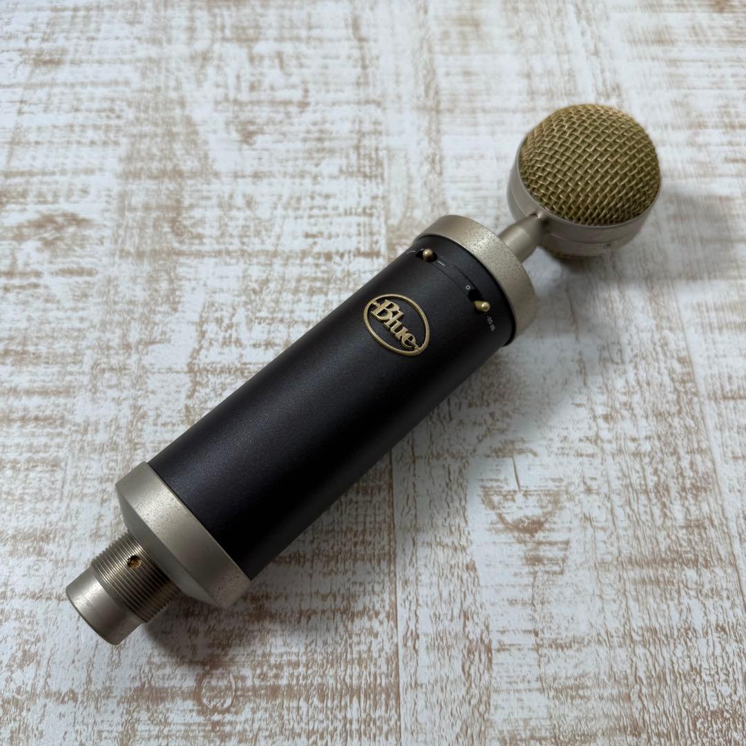 Blue( ブルー ) Baby Bottle SLコンデンサーマイク