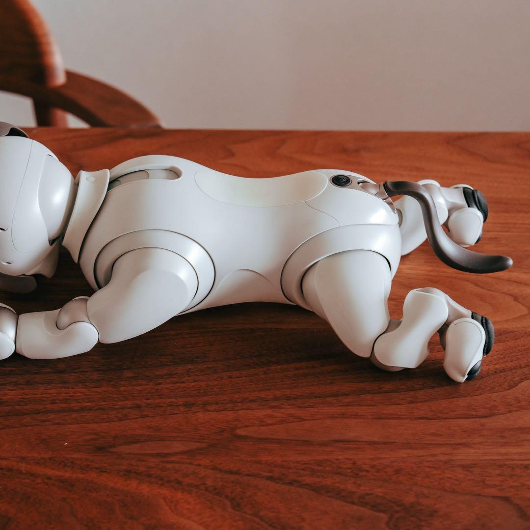 SONY aibo ERS-1000 アイボ