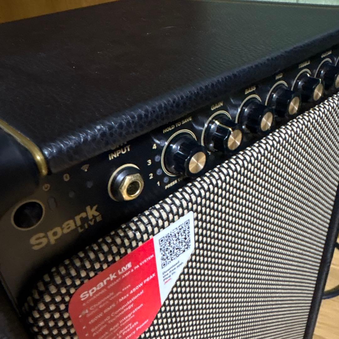 ポジティブグリッドspark Live