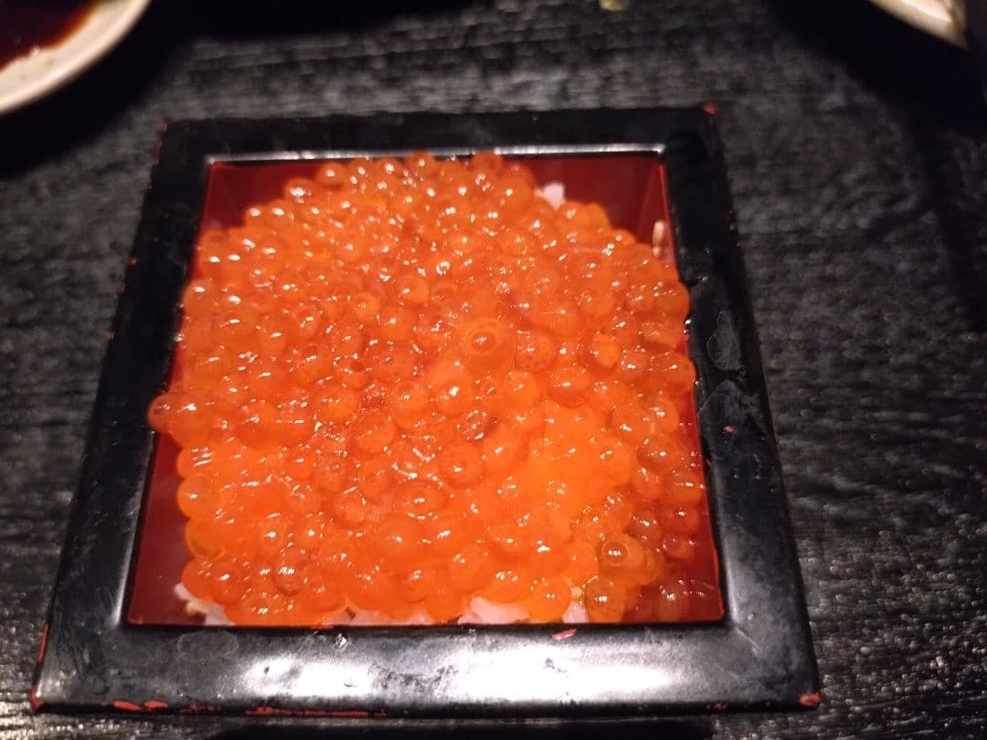 BURNOUT SYNDROMESコーチジャケット