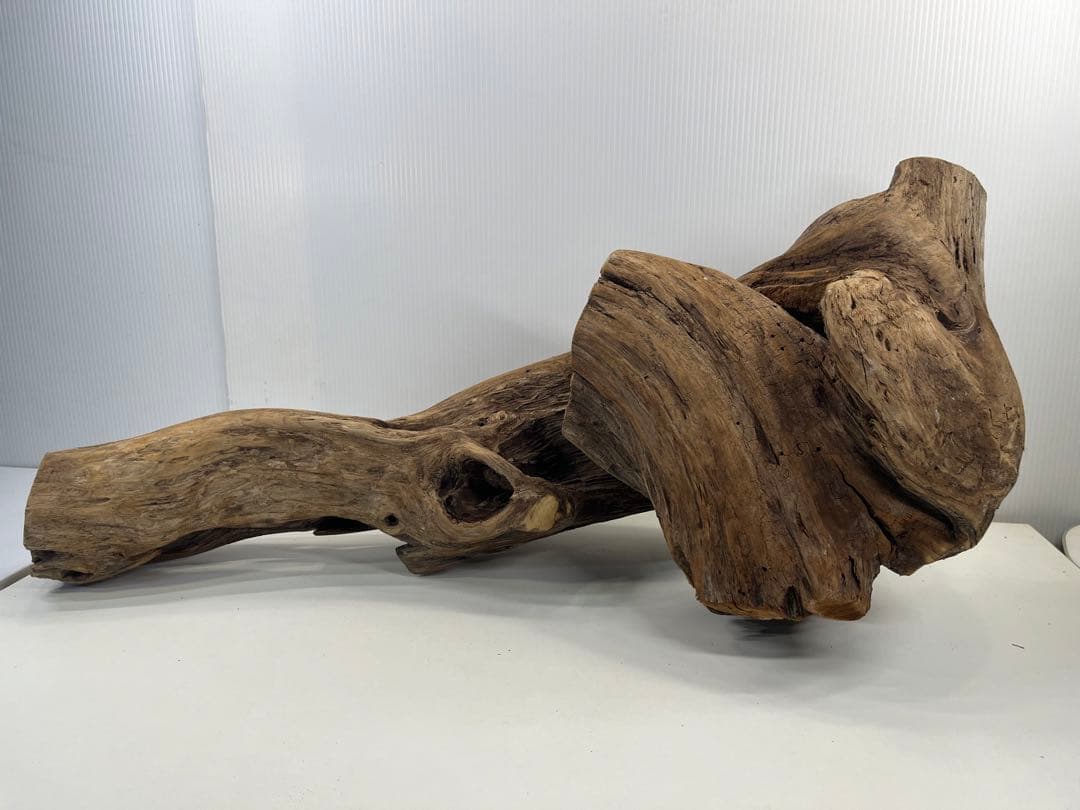 V70特大流木 アク抜き済み流木 爬虫類シェルター 登り木 インテリア 生け花