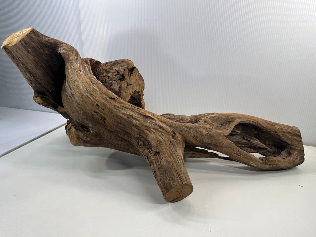 V70特大流木 アク抜き済み流木 爬虫類シェルター 登り木 インテリア 生け花