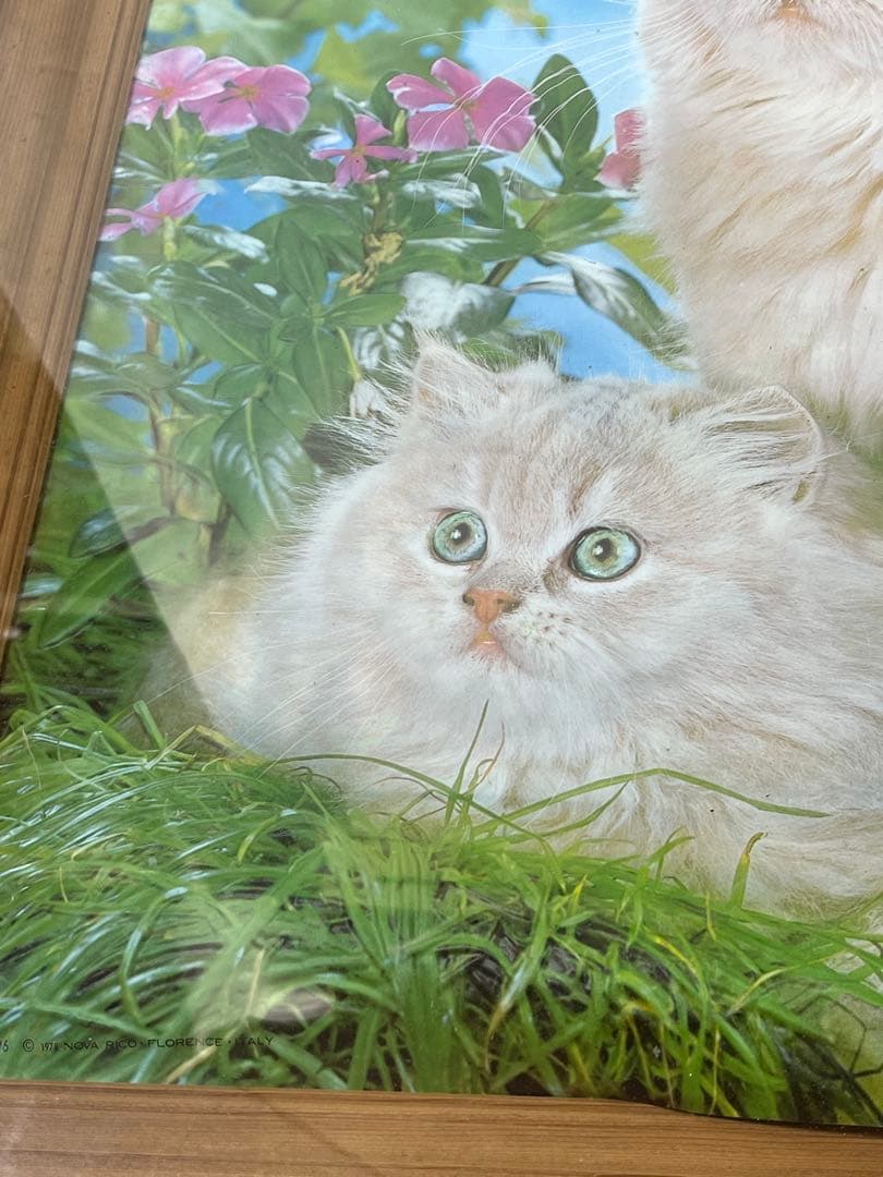 額入り61.0cm 立体壁掛け 仔猫達 （立体画）1154