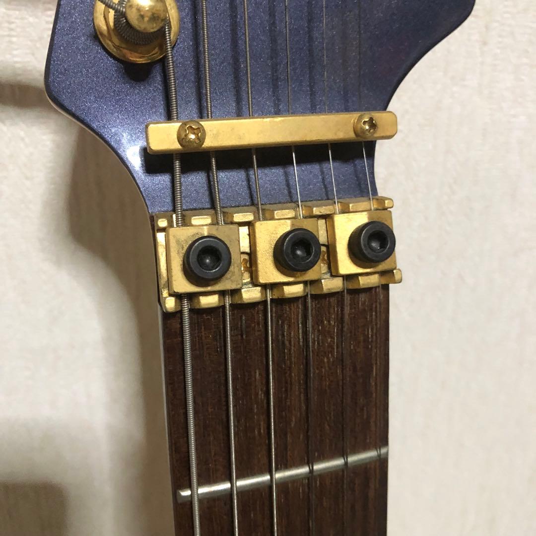 ケン　楽器　ソフトケース付き