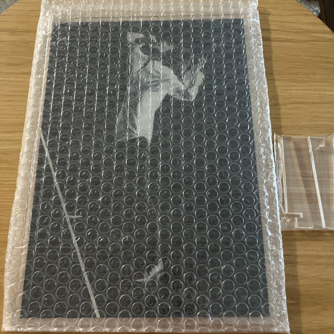 エレファントカシマシ 宮本浩次 アクリルパネルA4