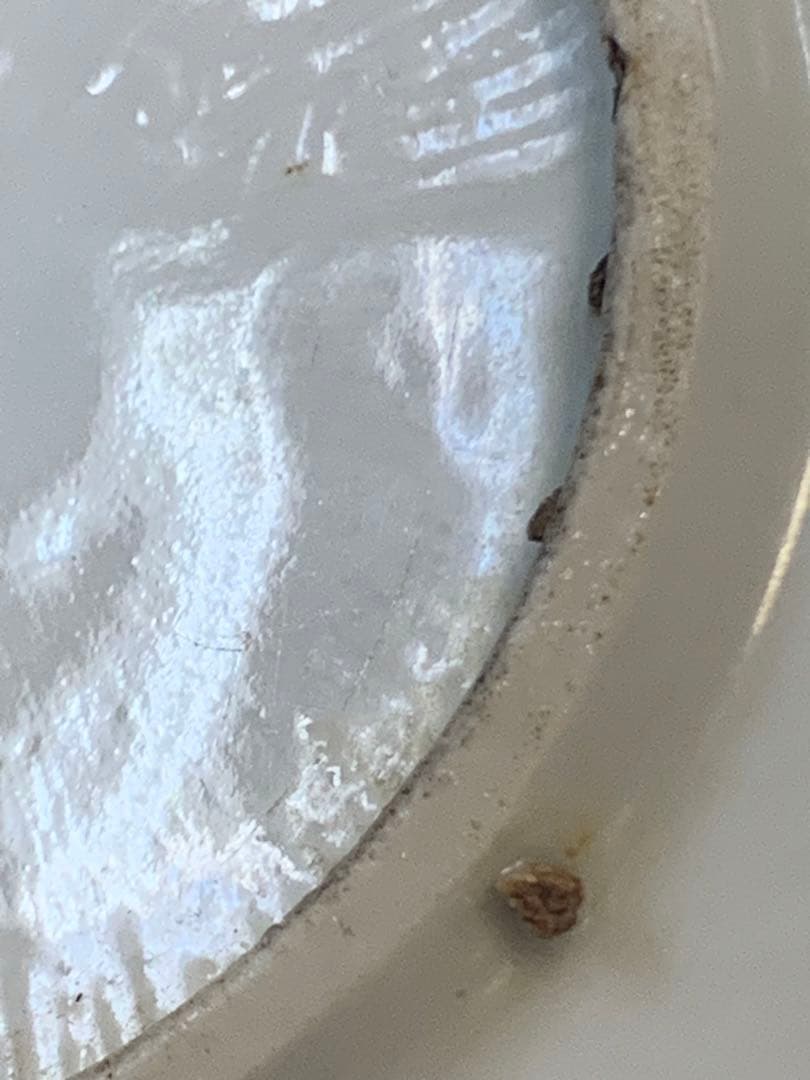 中国明時代五彩お皿