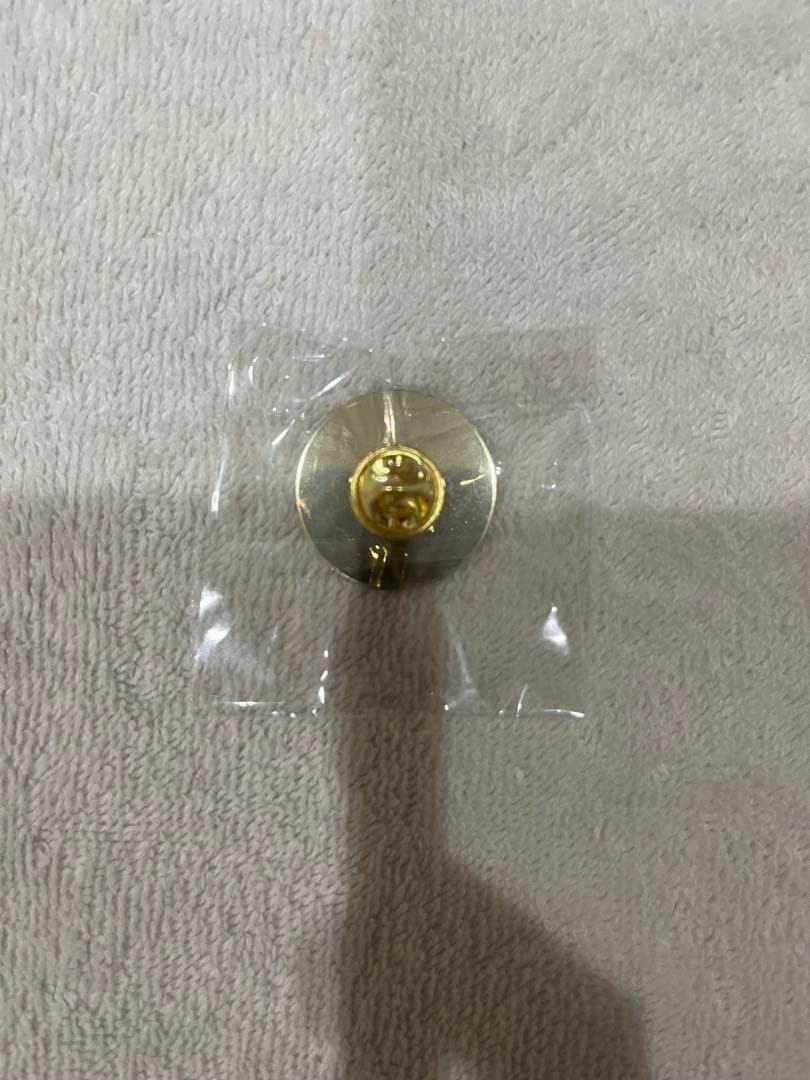 WOMEN'S PAVILION ピンバッジ