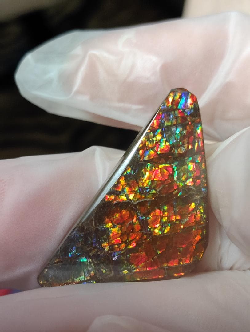 アンモライト　ルース　24-1414 23500