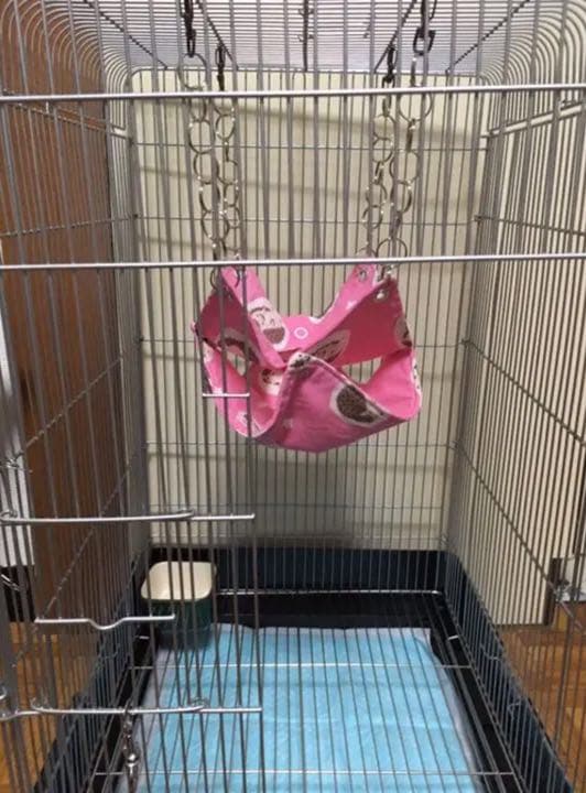 モモンガハウス(花柄パッチワーク柄)    夏仕様  涼しい夏生地を使用❗️