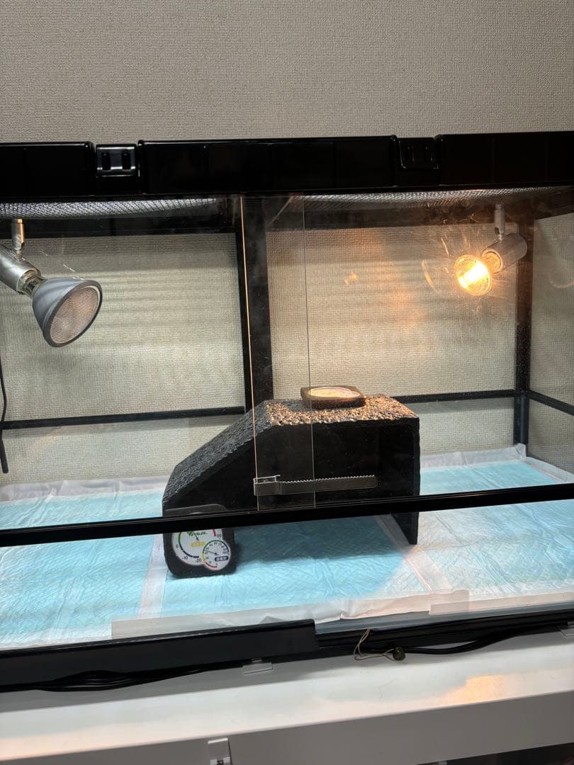 爬虫類ケージ　9045 専用