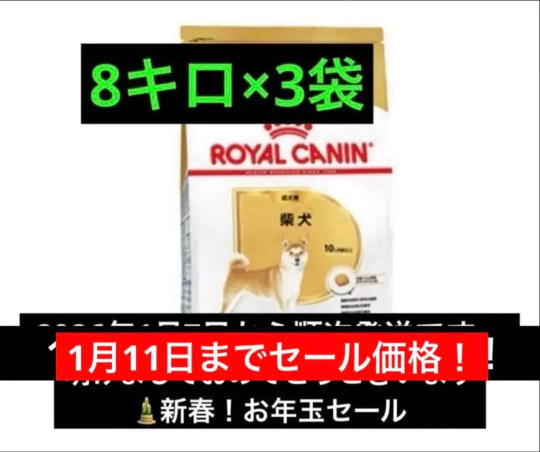  CANIN 柴犬 ドライフード 8キロ×3袋
