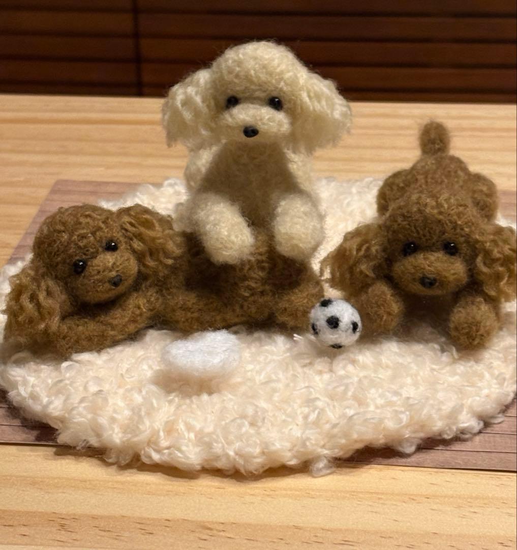 羊毛フェルト 毛糸 トイプードル（遊んだ後のリラックスタイム）❣️