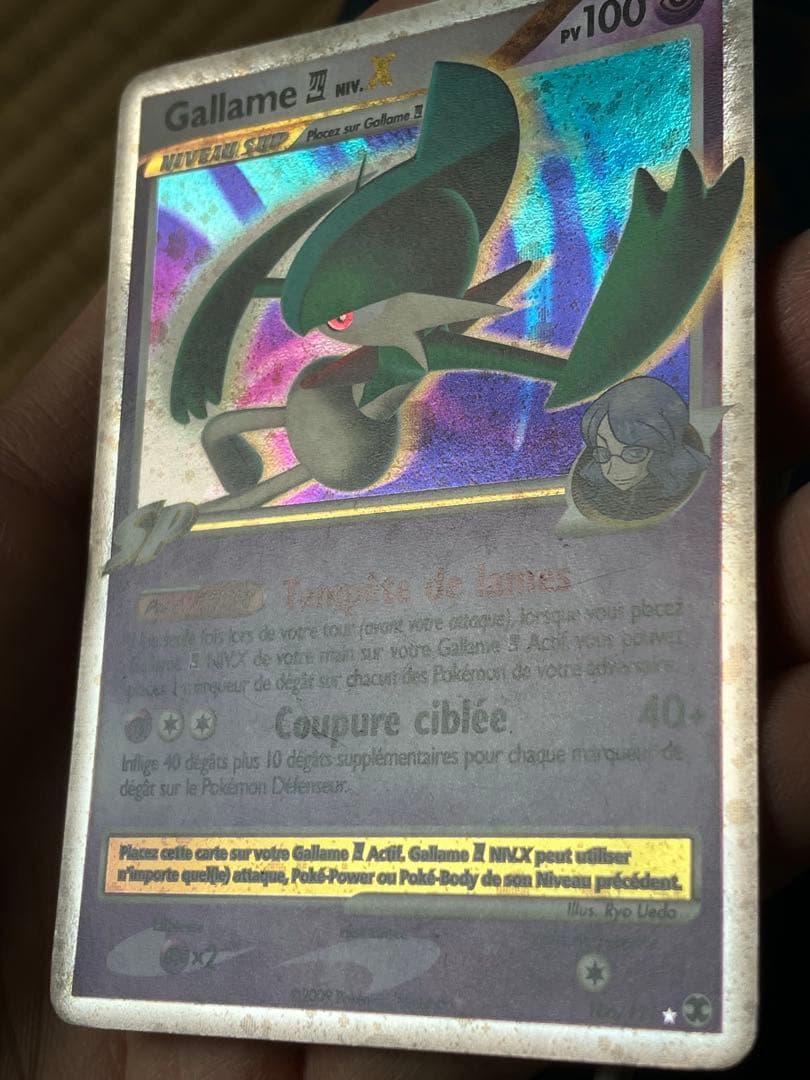 Gallame NIV. X 106/111 フランス語