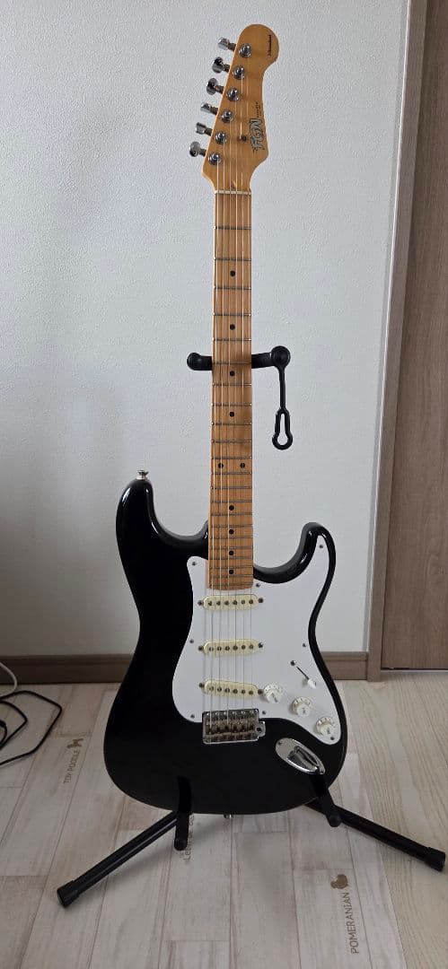 FGN j-standard ストラト