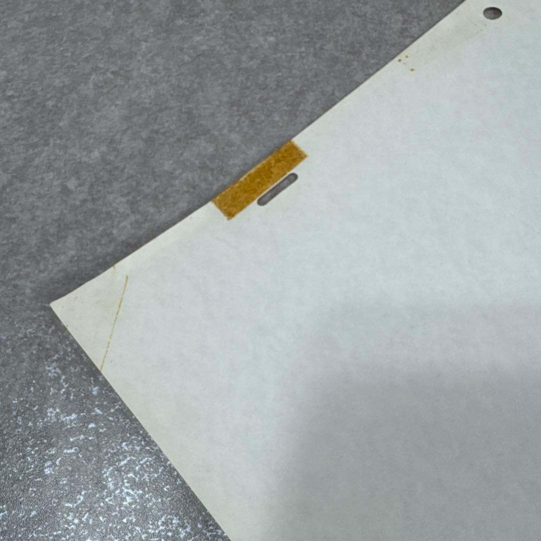 希少 おもひでぽろぽろ 岡島タエ子 セル画 A29 スタジオジブリ