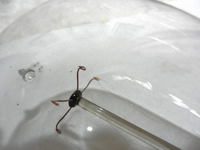 米国ＧＥ（ジェネラル・エレクトリック）社のアンティーク電球