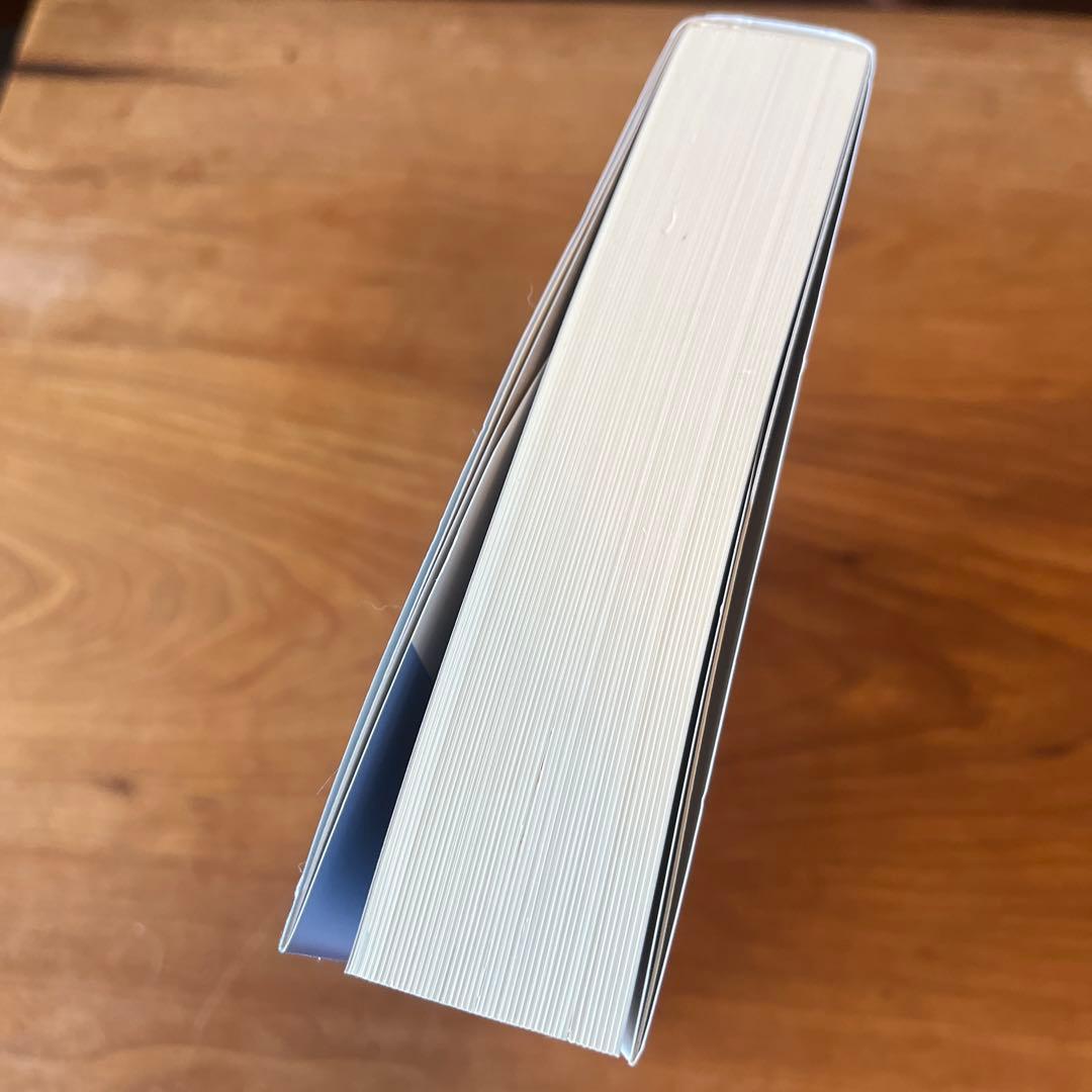 経済刑法 実務と理論