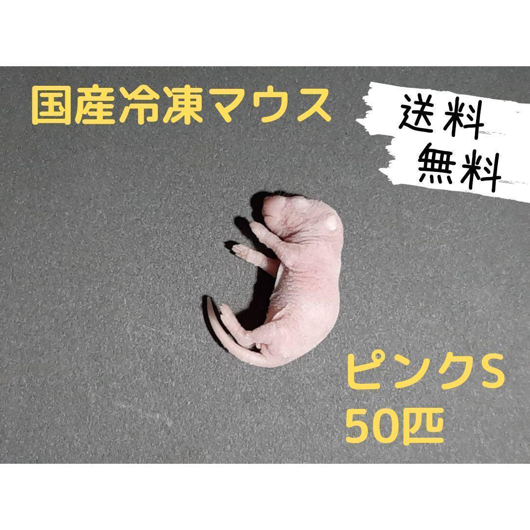 ★SOPE.‪☁️プロフ必読☁️★国産冷凍マウスセット品