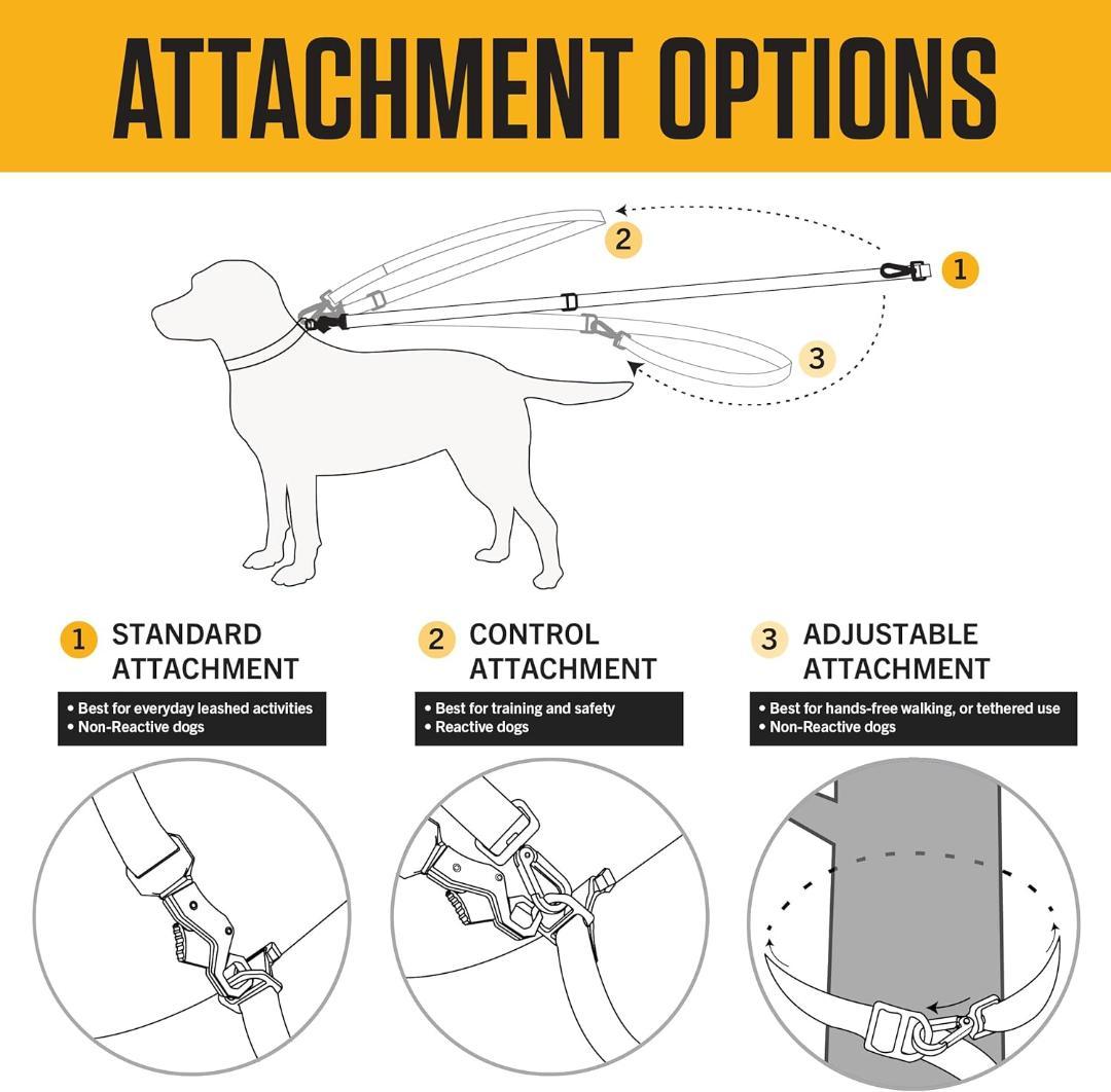 【NEW】Carhartt カーハート 犬用リーシュ＆首輪セット L 赤ワイン
