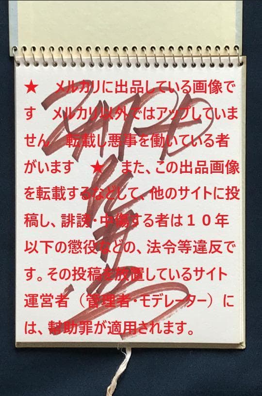 ★ZARD　坂井泉水　直筆「スケッチブック」