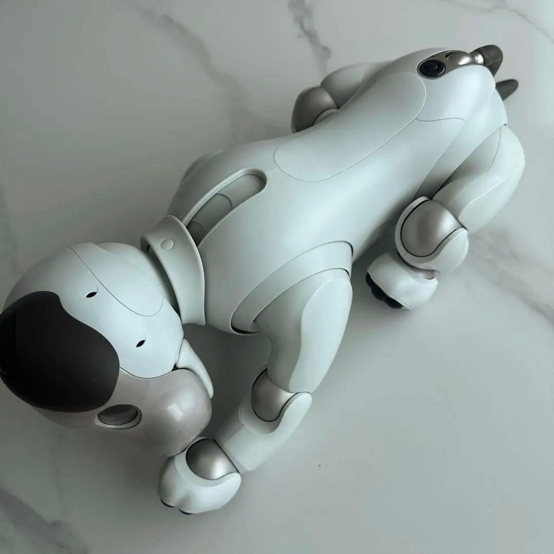 その他 aibo ERS-1000