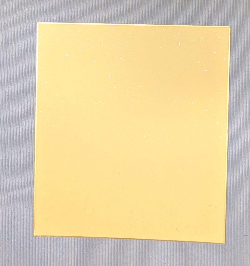 葬送のフリーレン 声優 直筆サイン 色紙 フリーレン フェルン