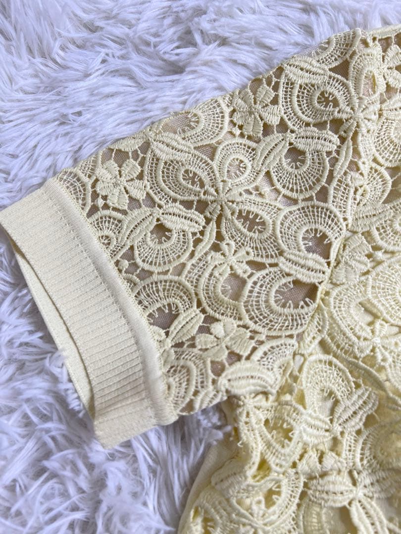 新品未使用 ANAYI アナイ モザイクレース ニットポロ プルオーバー