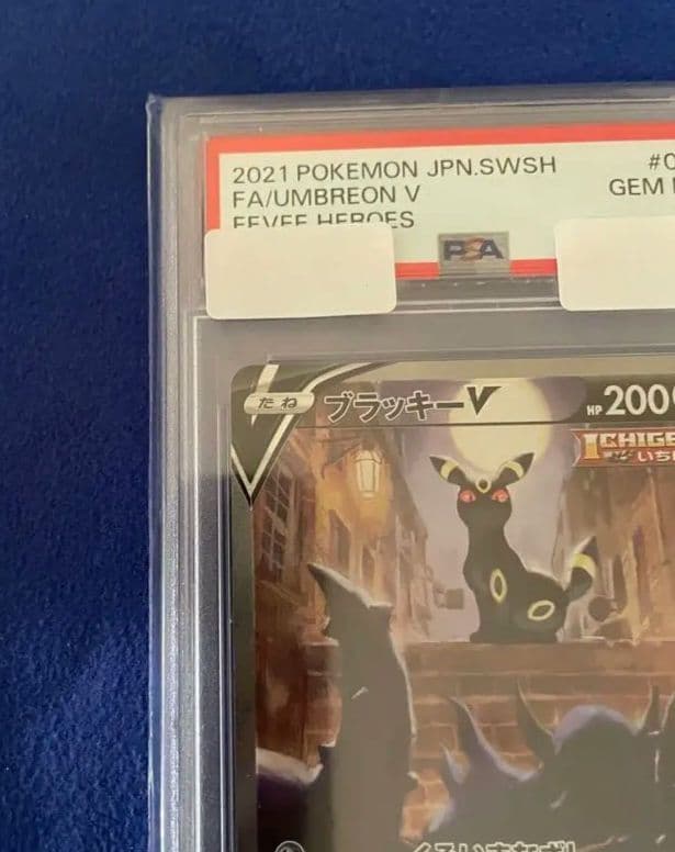 【PSA10】ブラッキーv SA