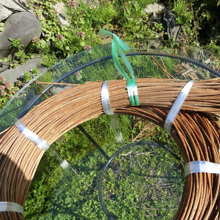 青森岩木山採取　あけび蔓　150cm～ 1.5kg