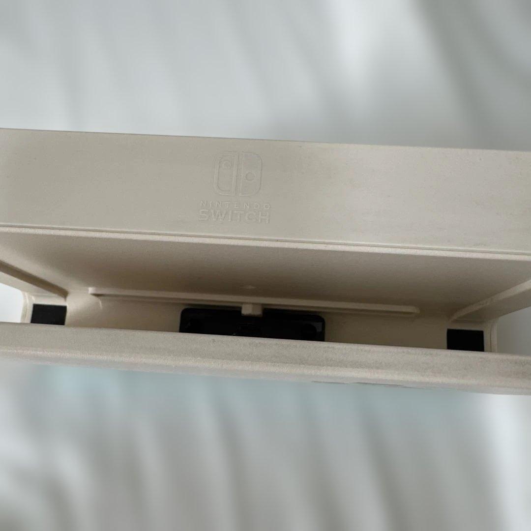 Nintendo Switch あつまれどうぶつの森版 本体セット ケース付