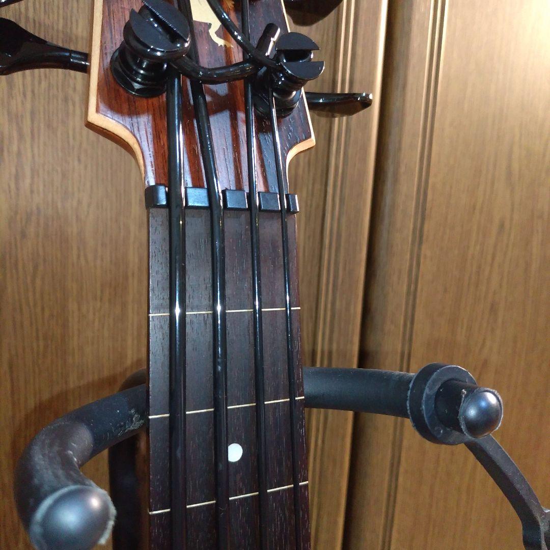 KALA U-BASS ストライプドエボニー (フレットレス)