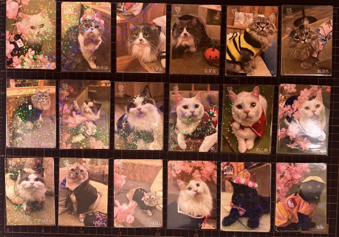猫カフェmocha にゃんずトレカ バラ売り⭕️