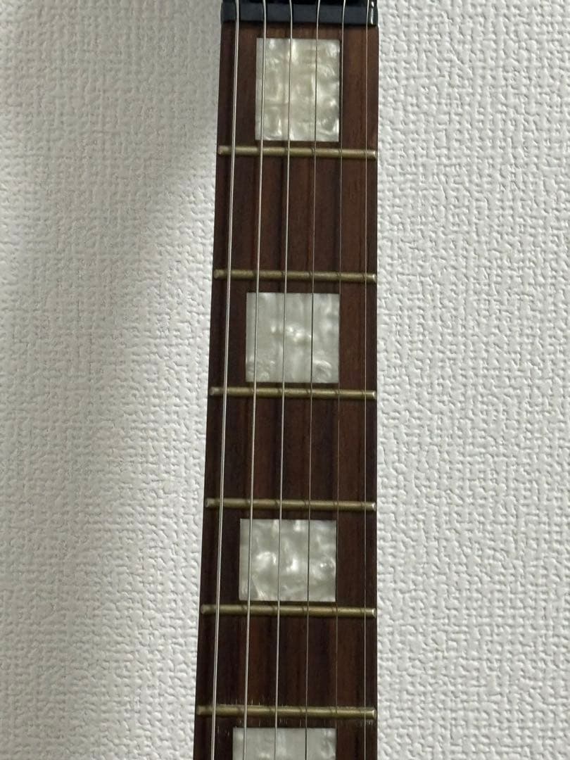 PlayTech LP-500 Premium F-Hole エレキギター