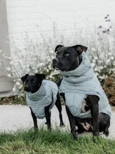 Kentucky Dogwear 未使用ベルギー ドッグコート 中綿入り