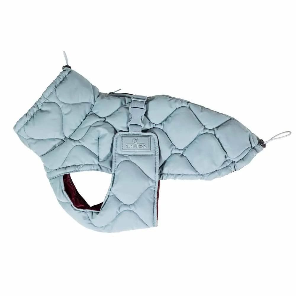 Kentucky Dogwear 未使用ベルギー ドッグコート 中綿入り