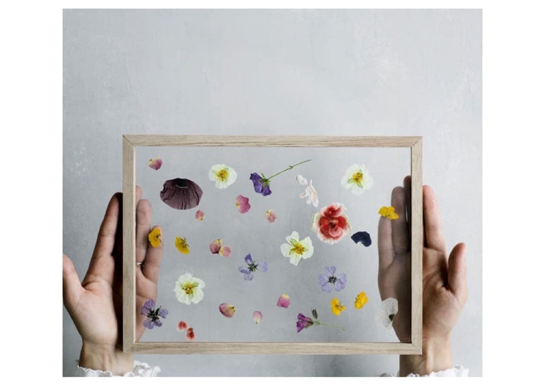 デンマーク　MOEBE FRAME フレーム A3 オーク