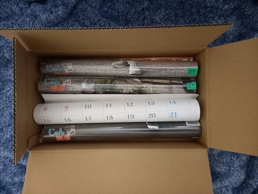 じゅん散歩カレンダー特典付き　限定完売品2025 2024(未使用)　オマケつき