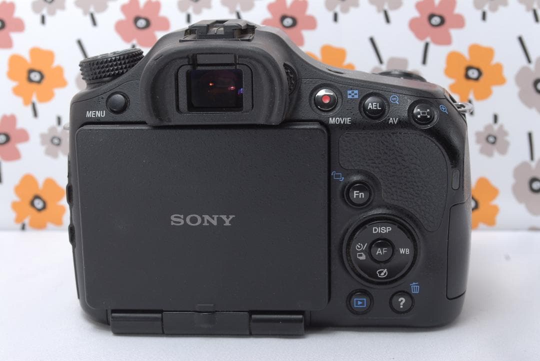 ❤SONY α65❤トリプルレンズ❤超望遠❤超高画質❤1秒10コマの高速連射❤