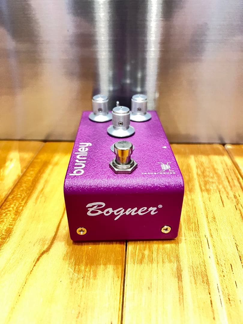 30分限定❗️Bogner Burnley