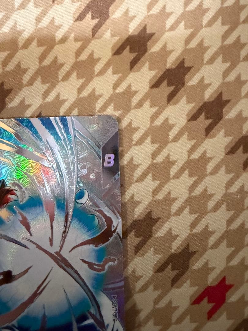 ドラゴンボールカード sleeping_forest