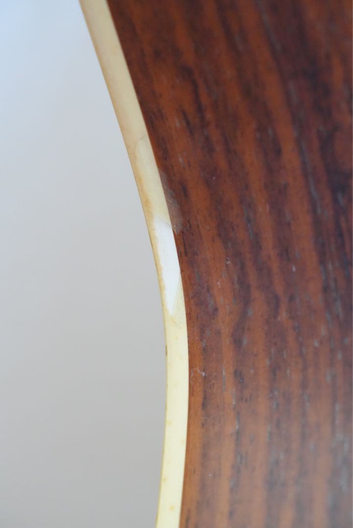 ギター テイラー Taylor 214e ケース+おまけ付