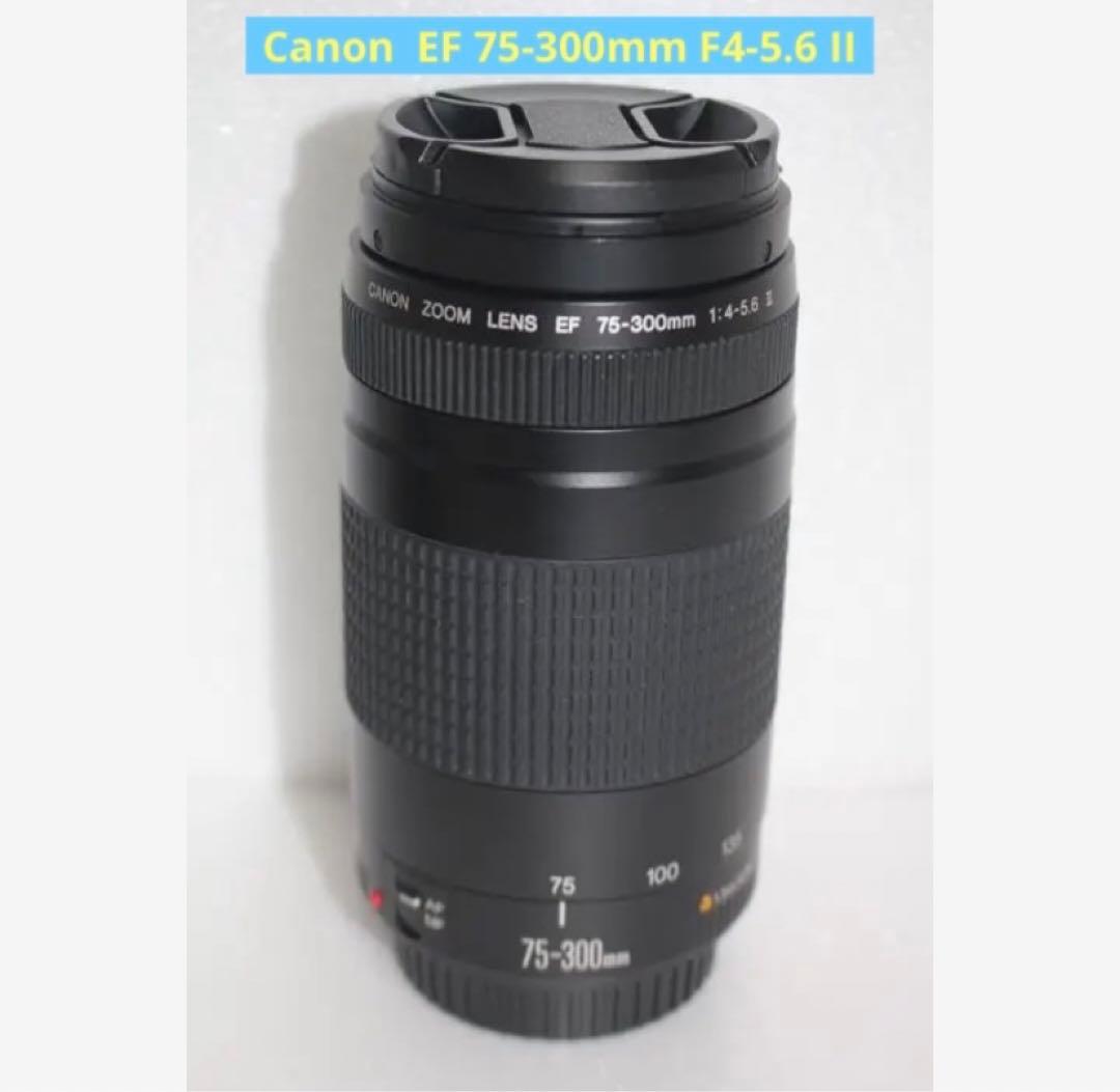 迫力の300㎜☆極上品☆フード付☆キャノン Canon EF75-300㎜ ☆