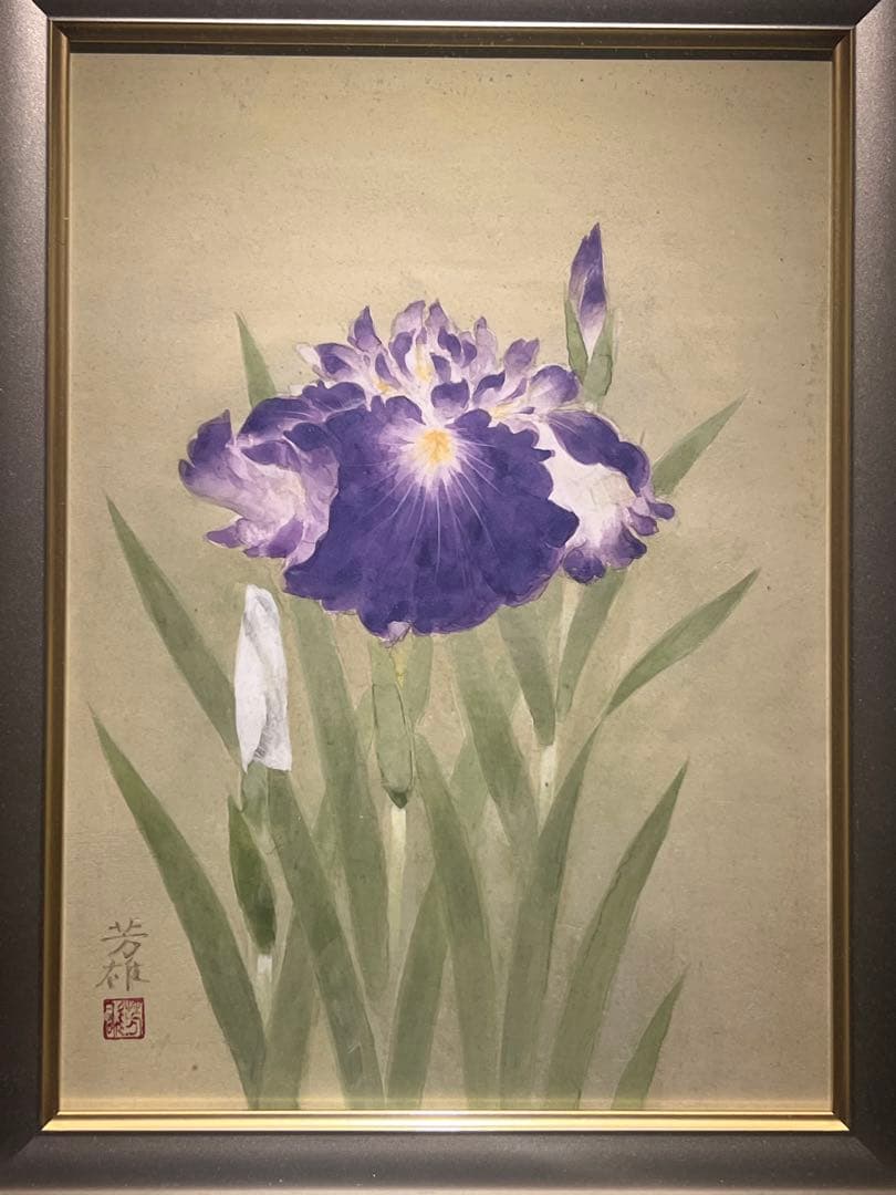 他の方発送×花菖蒲【肉筆日本画】作者不詳　印あり